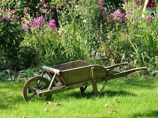 Les jardins familiaux de l'orée du bois